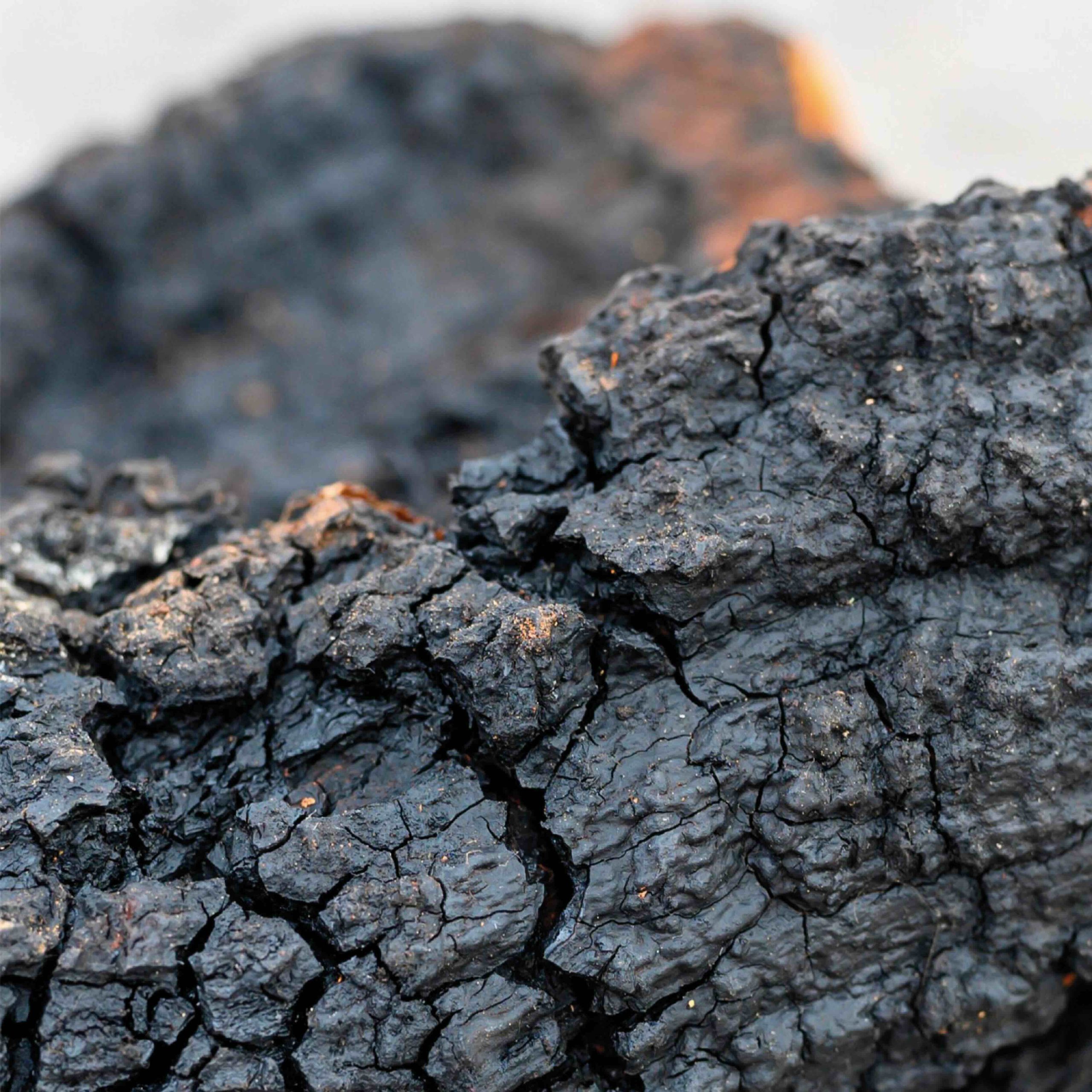 Chaga