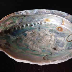 Abalone Smudge Schelp XXL - Zeldzaam