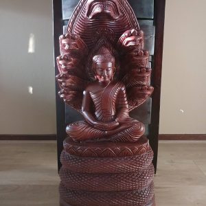 Naga Boeddha 11 kilo