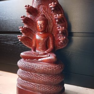 Naga Boeddha 7kg